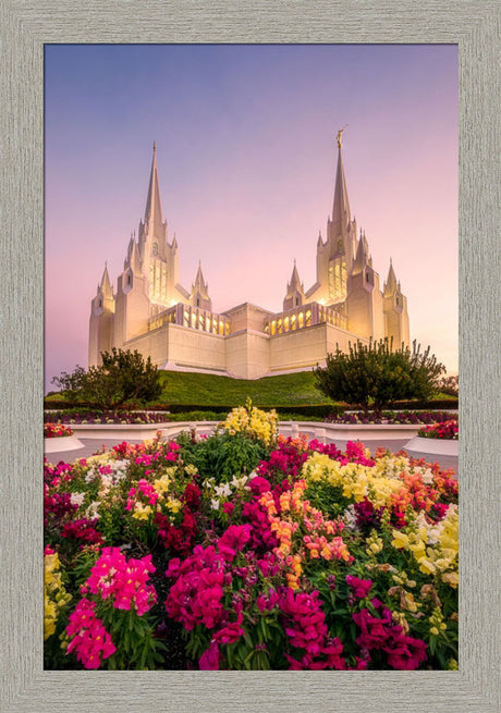 San Diego Temple - Blooming Grace