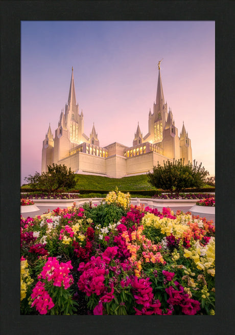 San Diego Temple - Blooming Grace