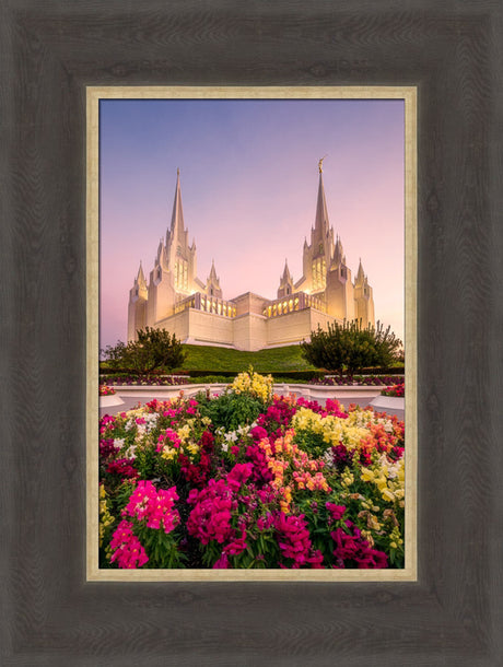 San Diego Temple - Blooming Grace