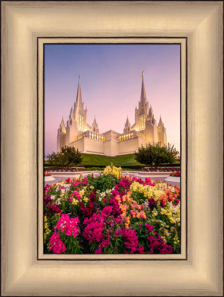 San Diego Temple - Blooming Grace