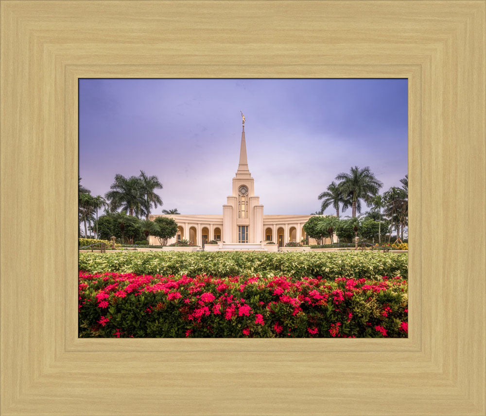 Fort Lauderdale Temple - Crimson and Sapphire