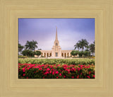 Fort Lauderdale Temple - Crimson and Sapphire