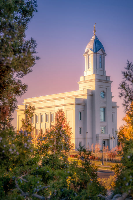 Cedar City Temple - Sacred Evening