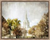 Idaho Falls Peaceful Trees by Mandy Jane Williams