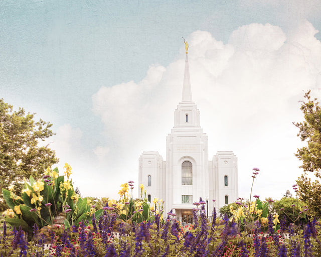 The Brigham City Utah Temple with yellow and purple flowers.