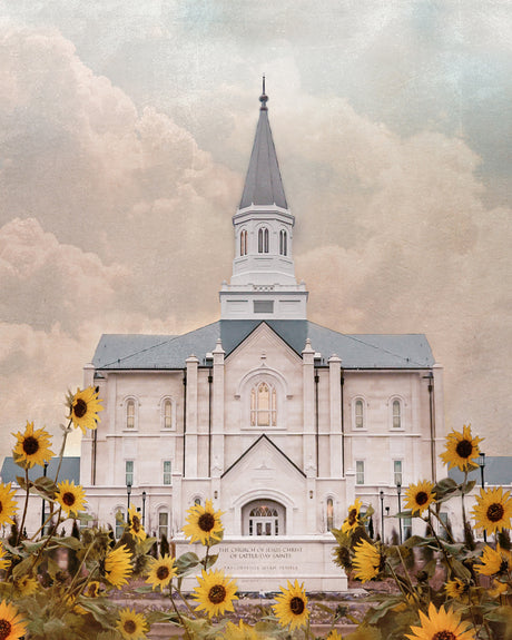 Taylorsville Utah Temple- Wild Sunflowers