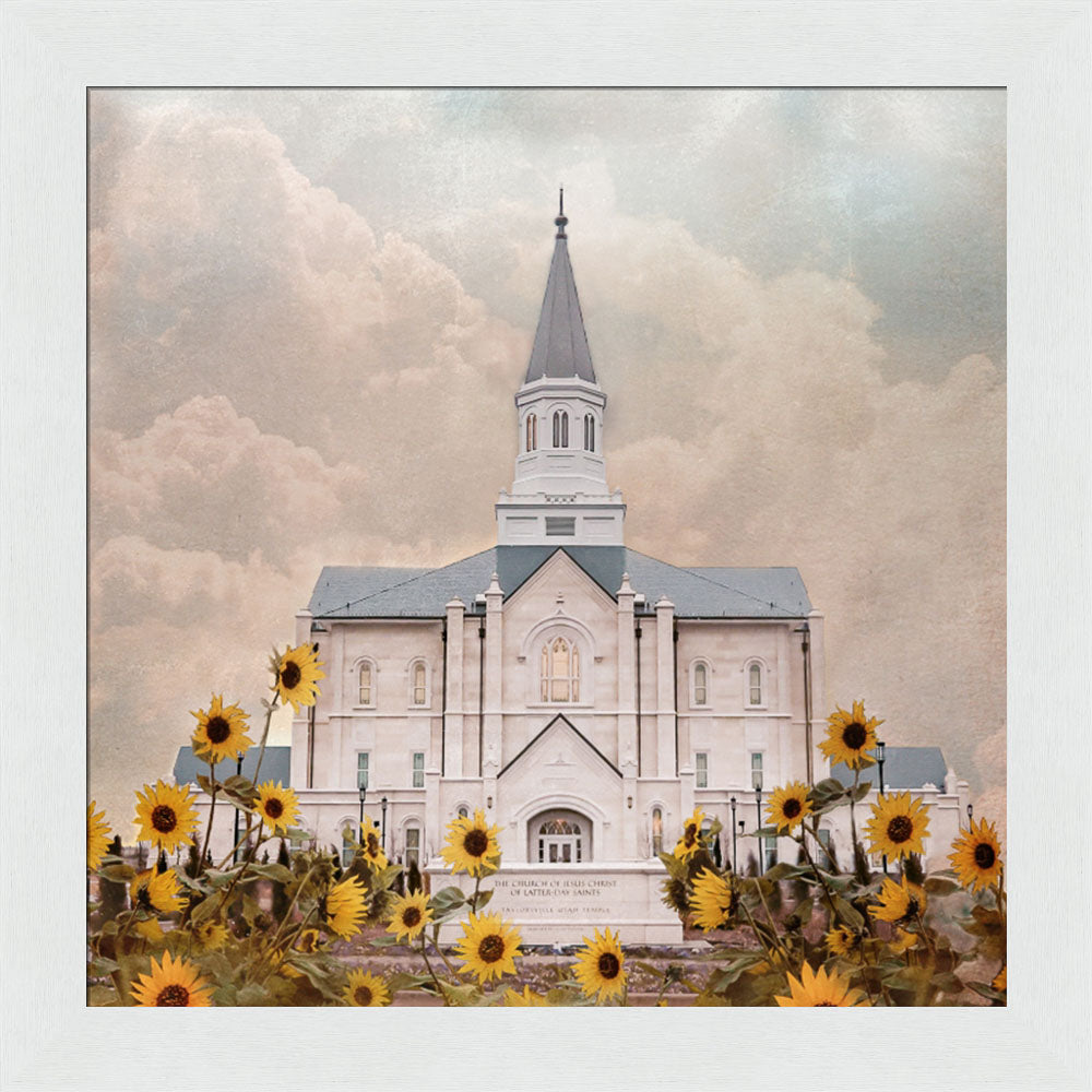 Taylorsville Utah Temple- Wild Sunflowers