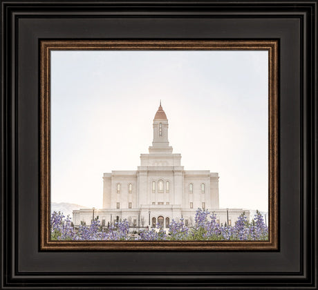 Deseret Peak Utah Temple- Mountain Lupine