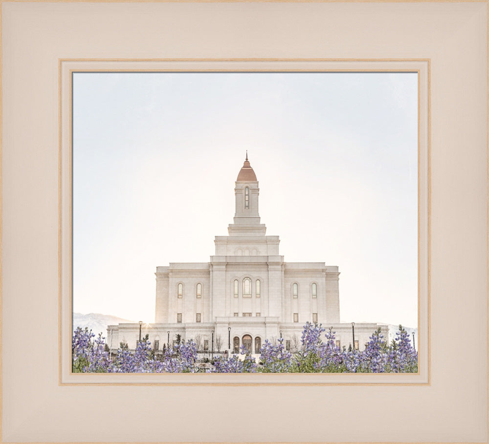 Deseret Peak Utah Temple- Mountain Lupine