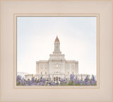 Deseret Peak Utah Temple- Mountain Lupine