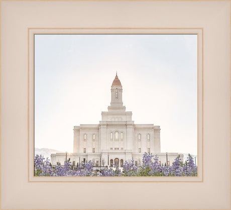 Deseret Peak Utah Temple- Mountain Lupine