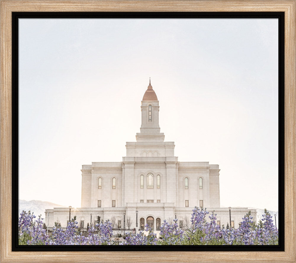 Deseret Peak Utah Temple- Mountain Lupine
