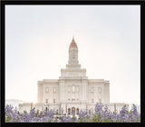 Deseret Peak Utah Temple- Mountain Lupine