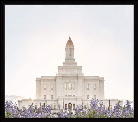 Deseret Peak Utah Temple- Mountain Lupine