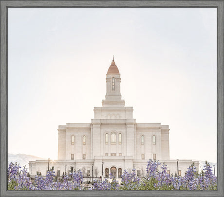 Deseret Peak Utah Temple- Mountain Lupine