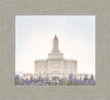 Deseret Peak Utah Temple- Mountain Lupine