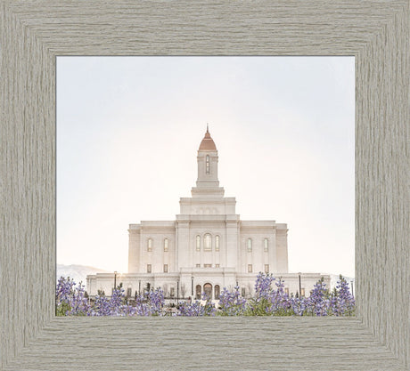 Deseret Peak Utah Temple- Mountain Lupine