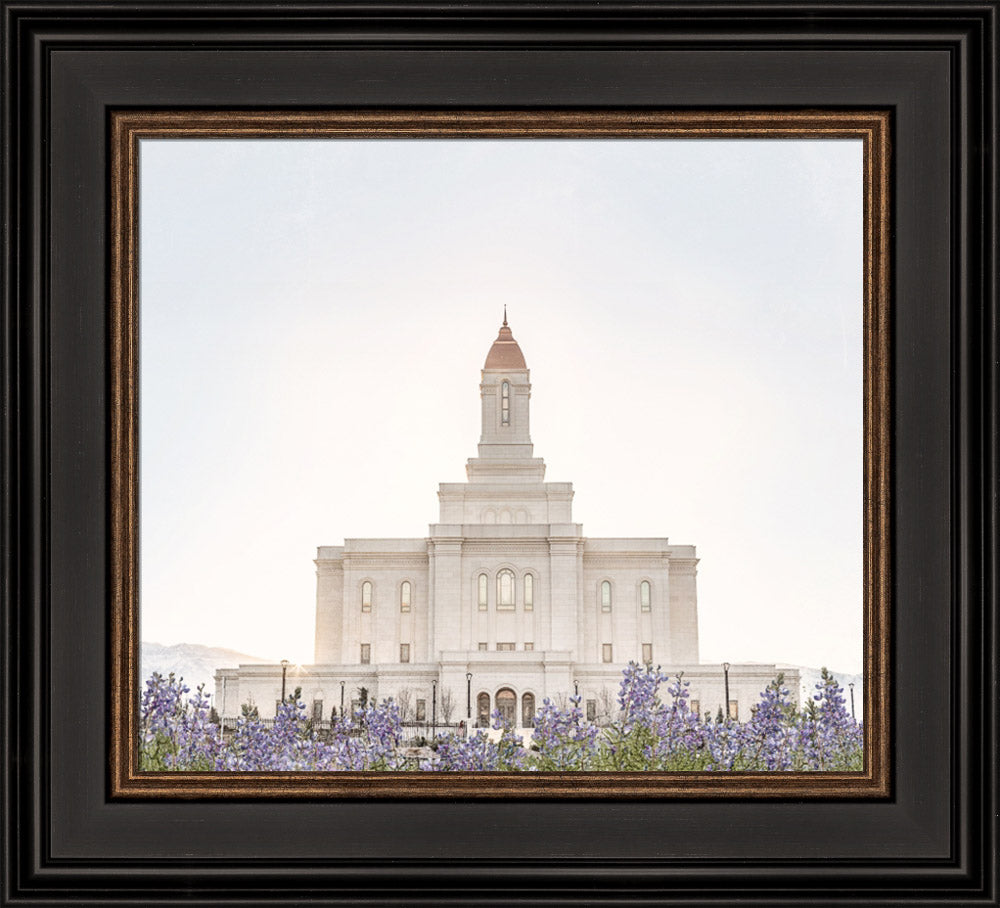Deseret Peak Utah Temple- Mountain Lupine