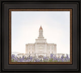 Deseret Peak Utah Temple- Mountain Lupine