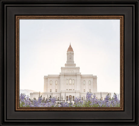 Deseret Peak Utah Temple- Mountain Lupine