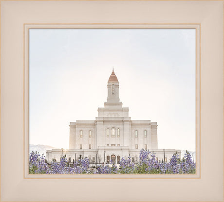 Deseret Peak Utah Temple- Mountain Lupine