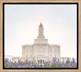 Deseret Peak Utah Temple- Mountain Lupine