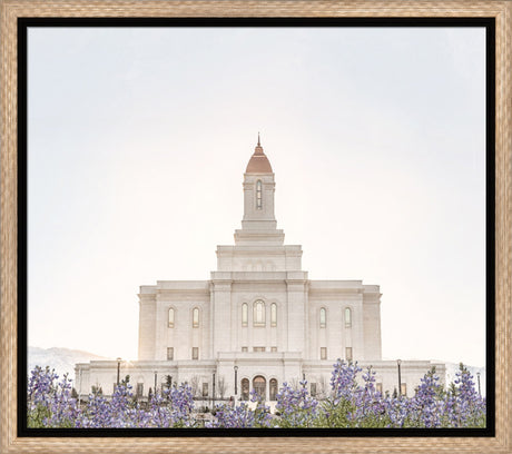 Deseret Peak Utah Temple- Mountain Lupine