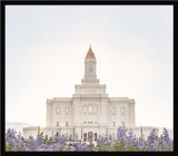 Deseret Peak Utah Temple- Mountain Lupine