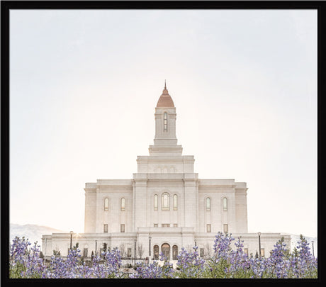 Deseret Peak Utah Temple- Mountain Lupine