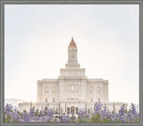 Deseret Peak Utah Temple- Mountain Lupine