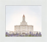 Deseret Peak Utah Temple- Mountain Lupine