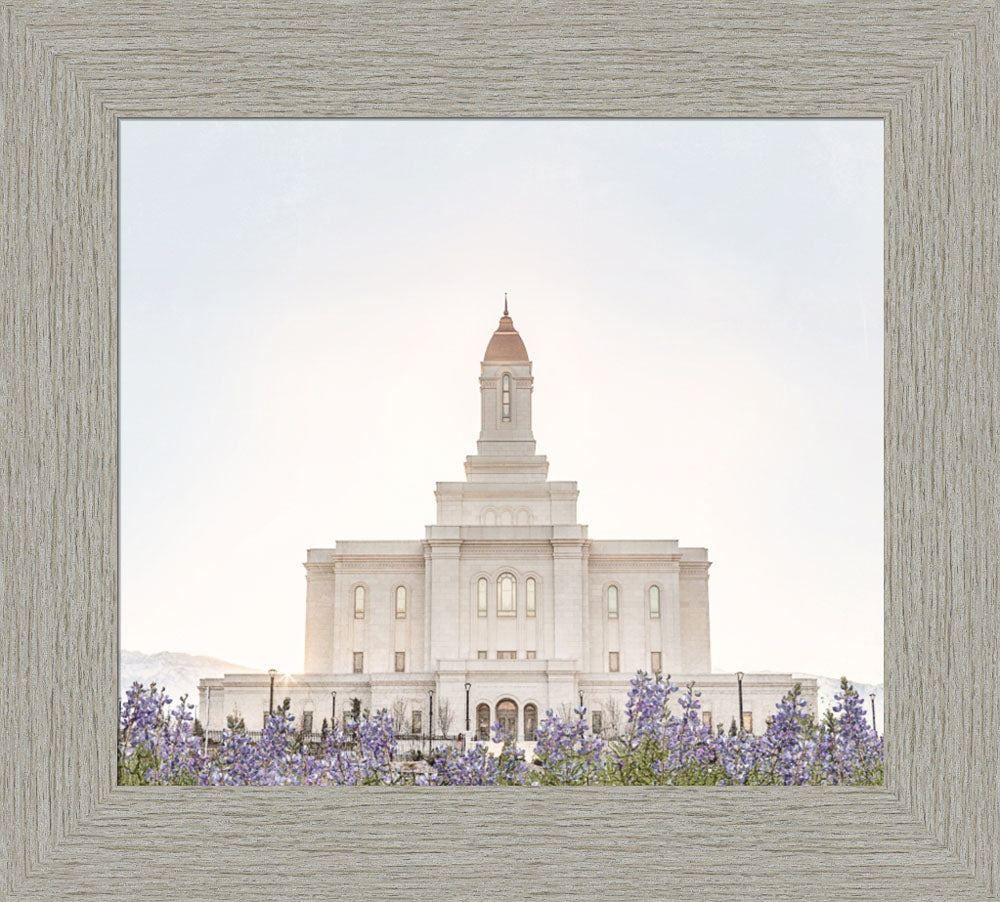 Deseret Peak Utah Temple- Mountain Lupine