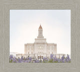 Deseret Peak Utah Temple- Mountain Lupine