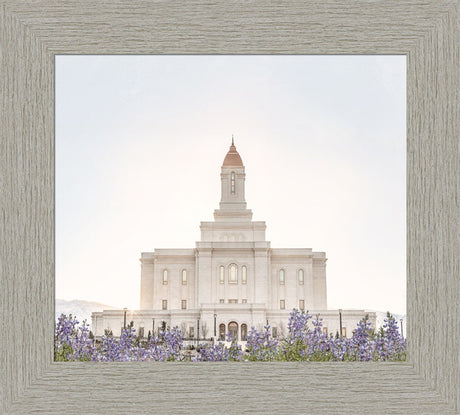 Deseret Peak Utah Temple- Mountain Lupine