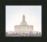 Deseret Peak Utah Temple- Mountain Lupine