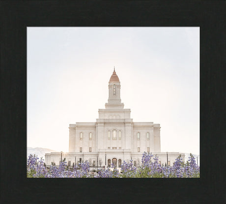 Deseret Peak Utah Temple- Mountain Lupine