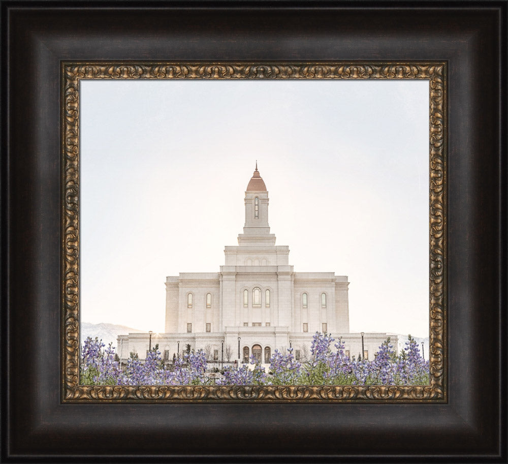 Deseret Peak Utah Temple- Mountain Lupine