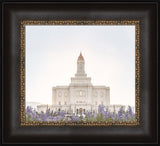 Deseret Peak Utah Temple- Mountain Lupine