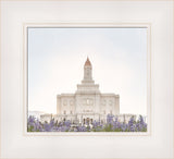 Deseret Peak Utah Temple- Mountain Lupine