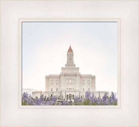 Deseret Peak Utah Temple- Mountain Lupine