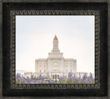 Deseret Peak Utah Temple- Mountain Lupine