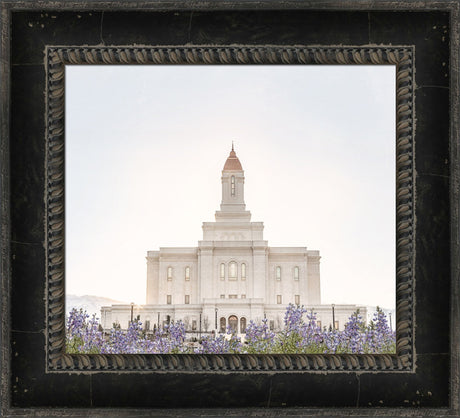 Deseret Peak Utah Temple- Mountain Lupine