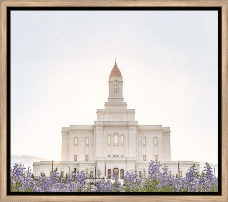 Deseret Peak Utah Temple- Mountain Lupine