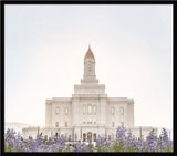 Deseret Peak Utah Temple- Mountain Lupine