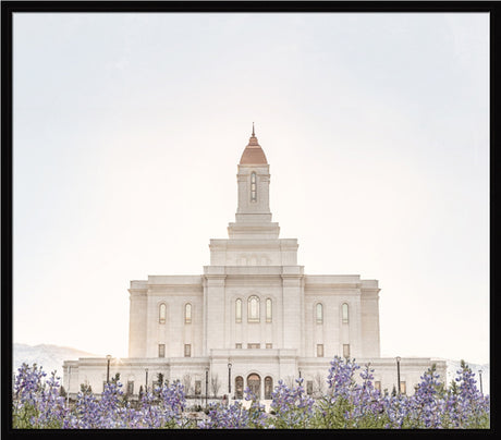 Deseret Peak Utah Temple- Mountain Lupine