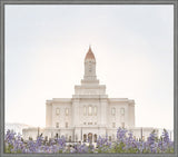 Deseret Peak Utah Temple- Mountain Lupine