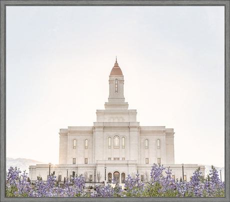 Deseret Peak Utah Temple- Mountain Lupine