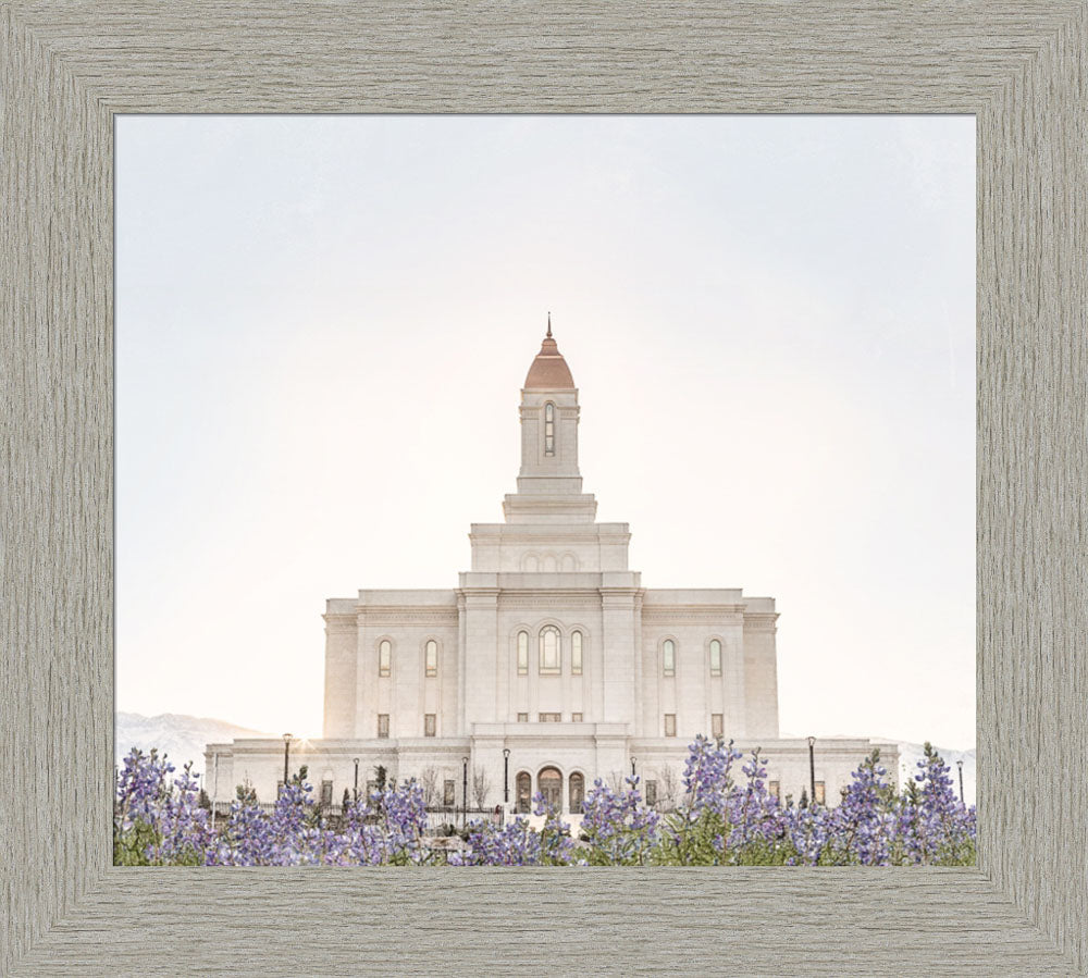 Deseret Peak Utah Temple- Mountain Lupine