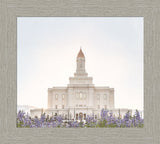 Deseret Peak Utah Temple- Mountain Lupine