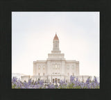 Deseret Peak Utah Temple- Mountain Lupine